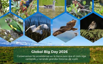 Así vivimos el Global Big Day 2026