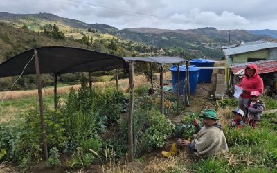Agua y Alimento por la Adaptación: tejiendo vida, comunidad y futuro en la cuenca del Lago de Tota